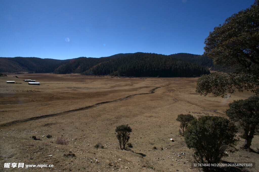 普达措森林公园