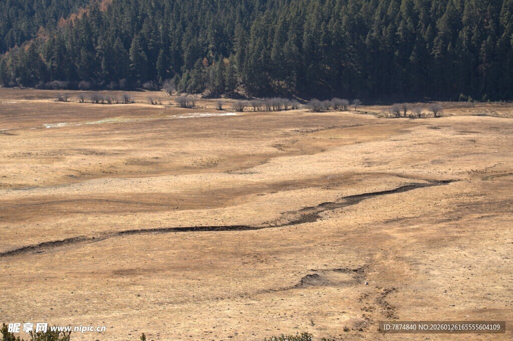 普达措森林公园