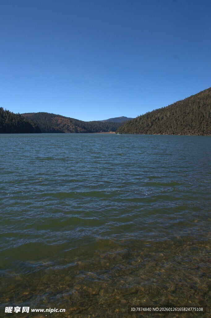 普达措森林公园