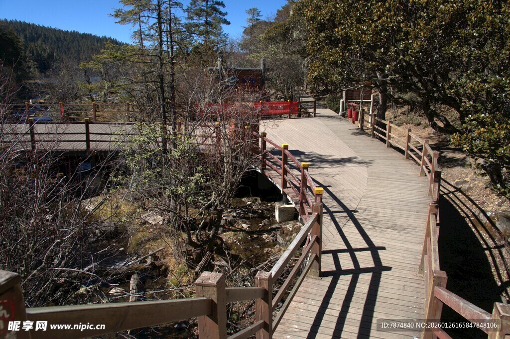 普达措森林公园