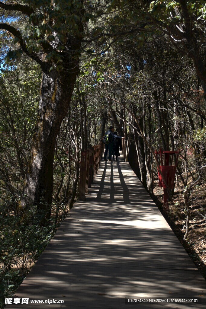 普达措森林公园