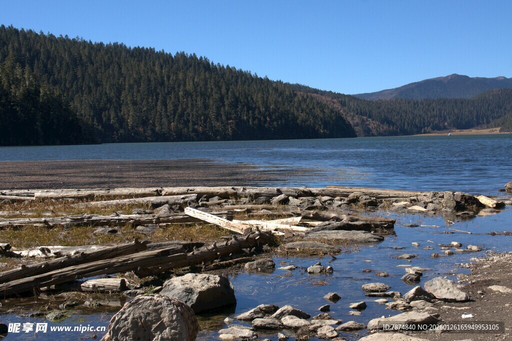 普达措森林公园