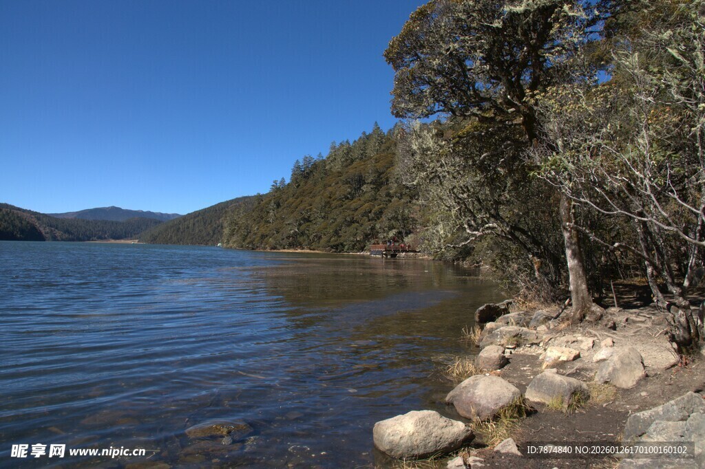 普达措森林公园