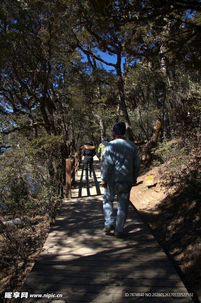 普达措森林公园