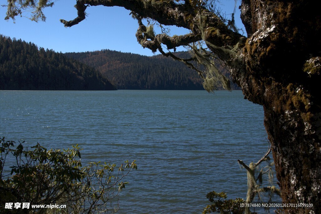 普达措森林公园