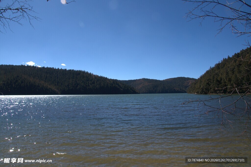 普达措森林公园