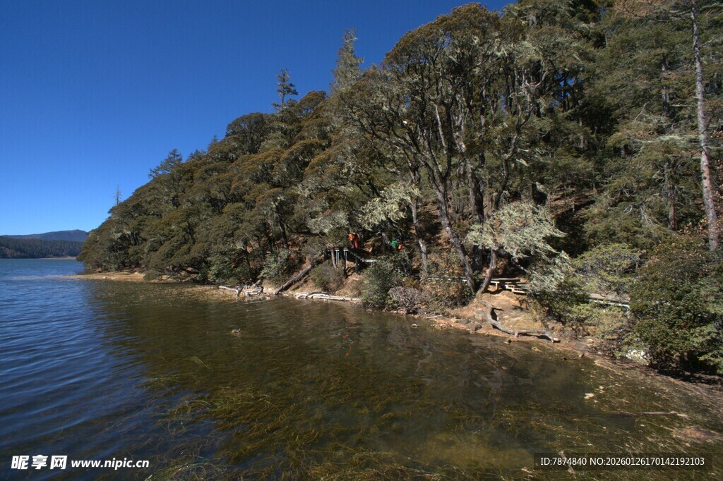 普达措森林公园