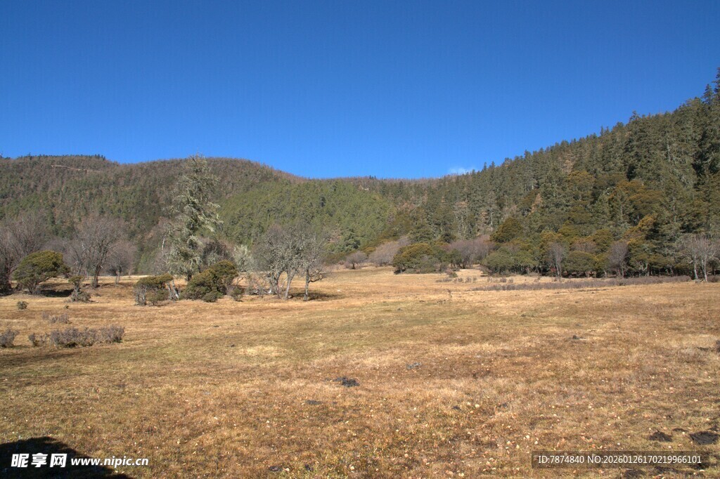 普达措森林公园