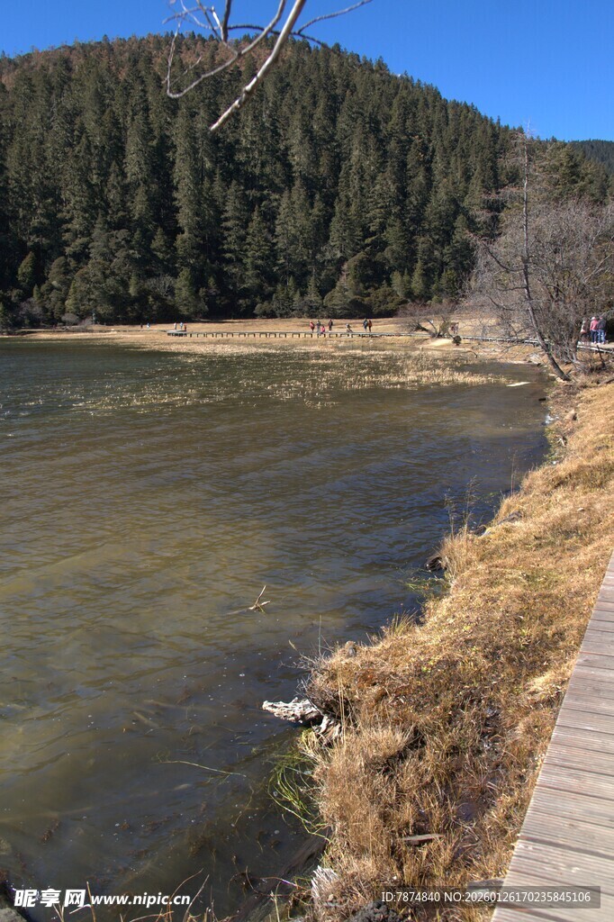 普达措森林公园