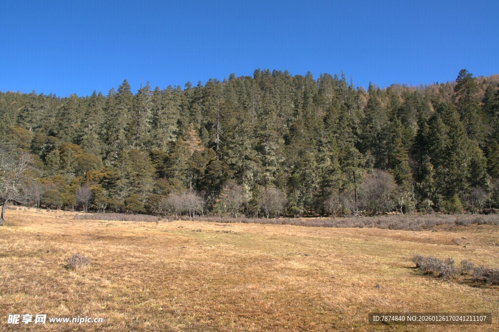 普达措森林公园
