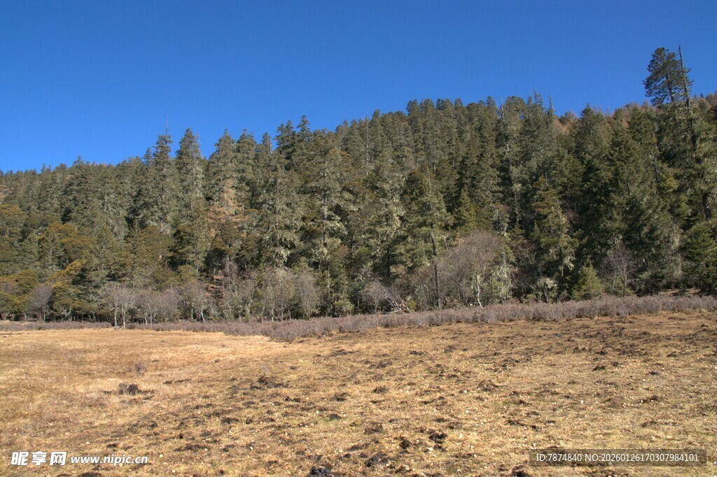 普达措森林公园