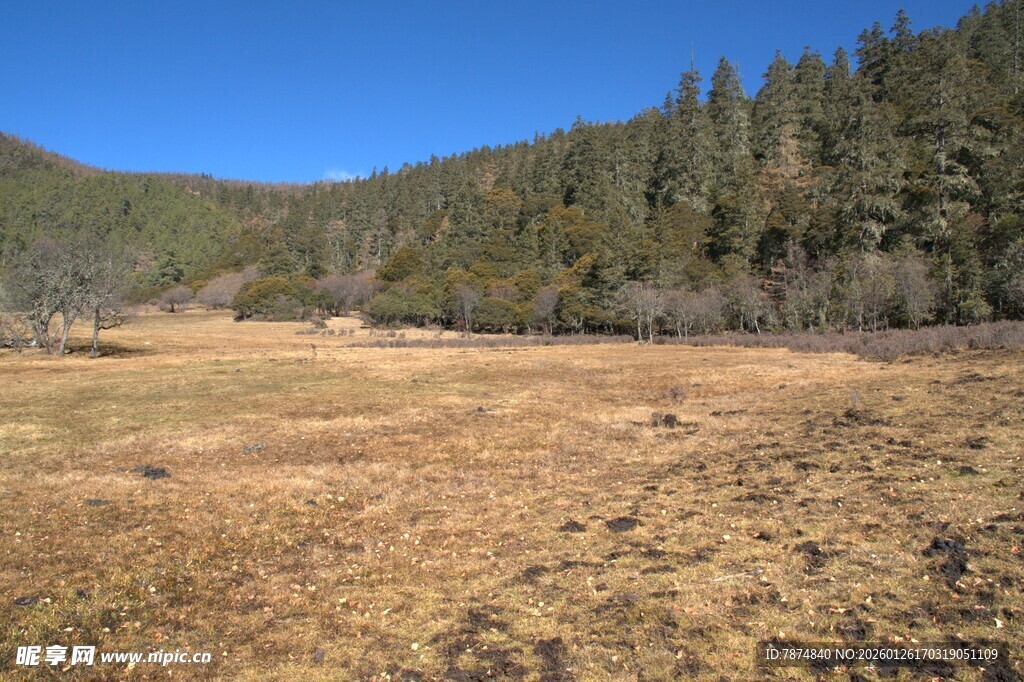 普达措森林公园