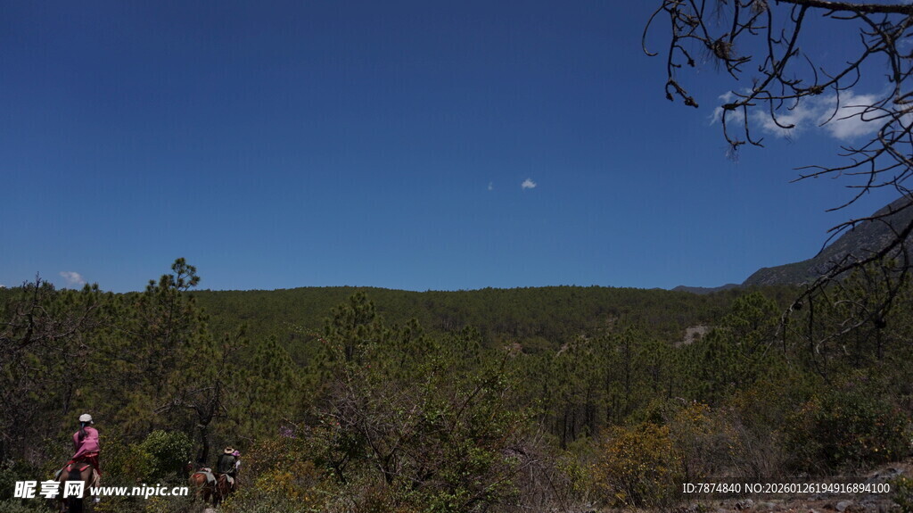 户外山林徒步场景