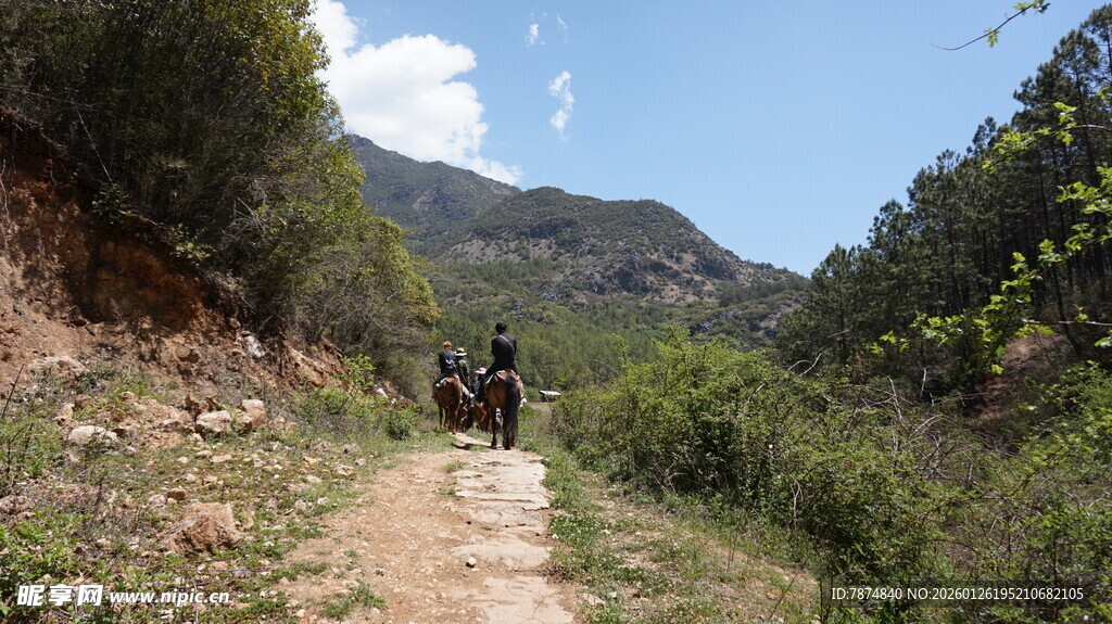 山间骑行者穿行于绿野