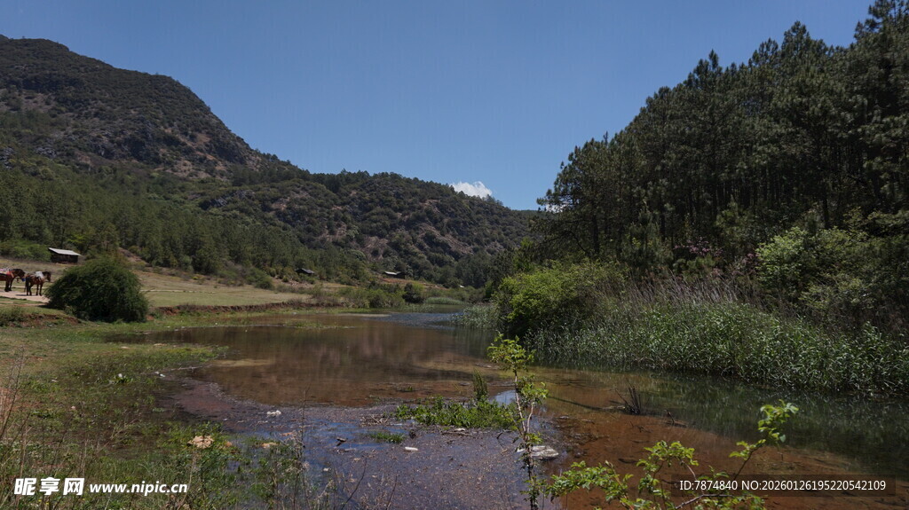 山间溪流畔的自然美景