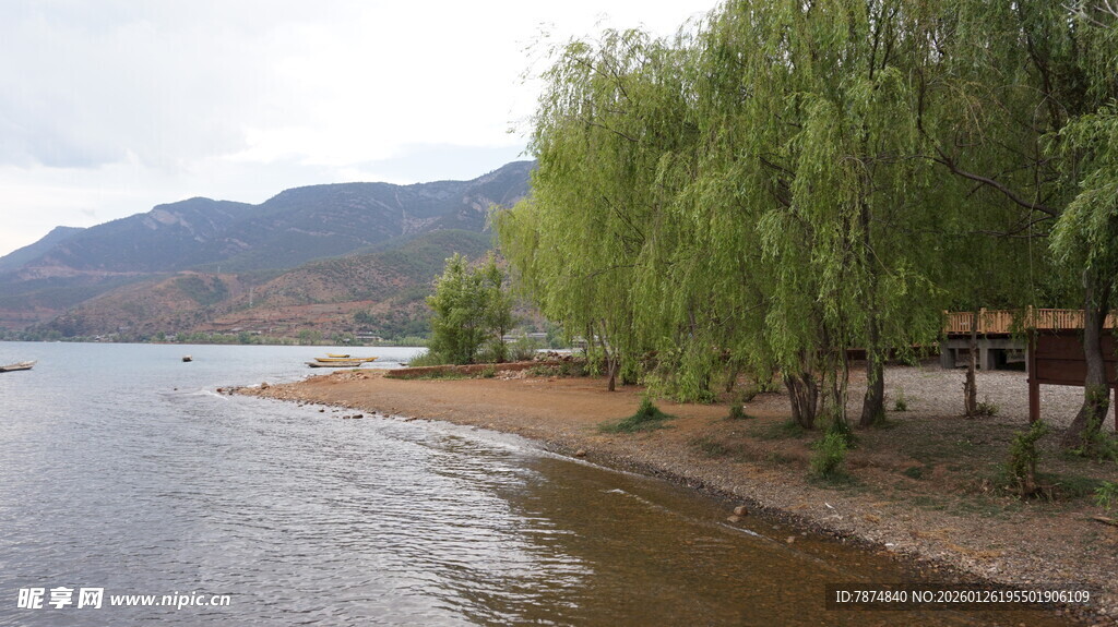 湖畔垂柳 山水静谧风光
