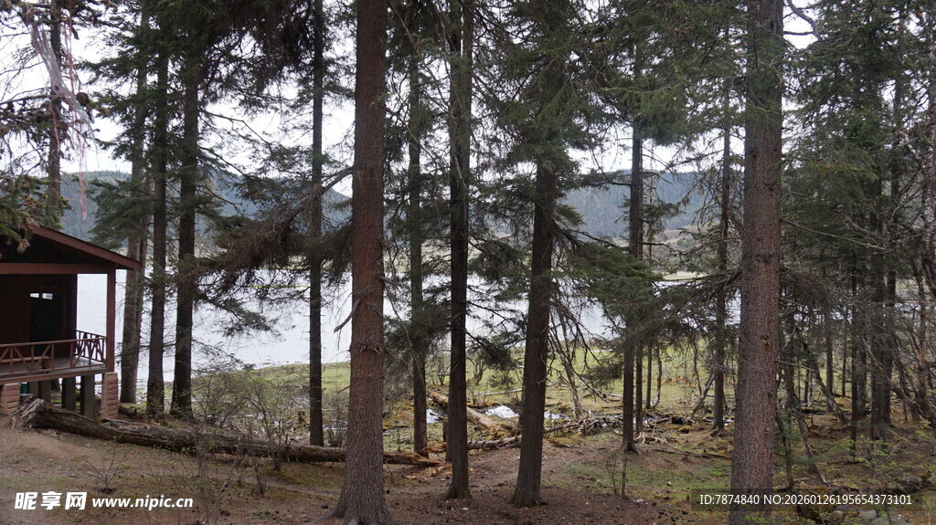 林间小屋 静谧自然景致