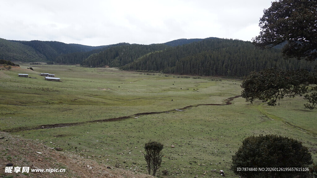 广袤绿野间的自然景致