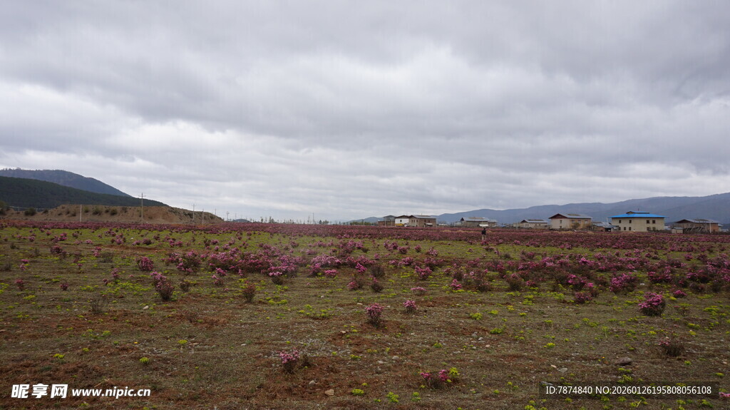 阴天旷野风景