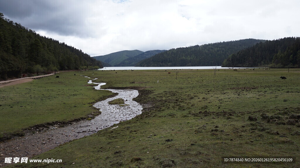 草原溪流风光