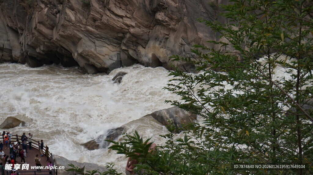 湍急河流旁的自然景致