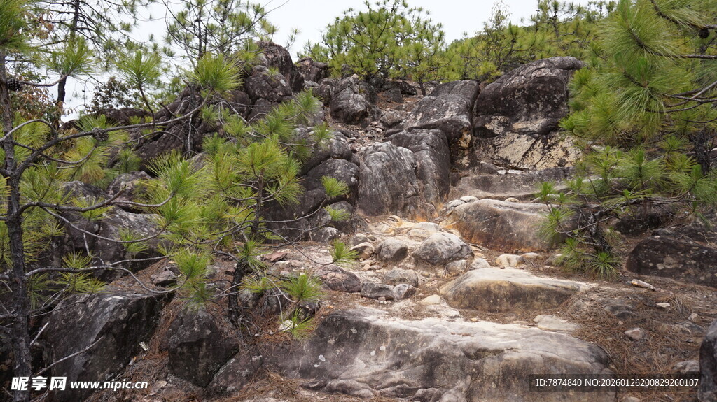 山间石阶 自然绿意景致