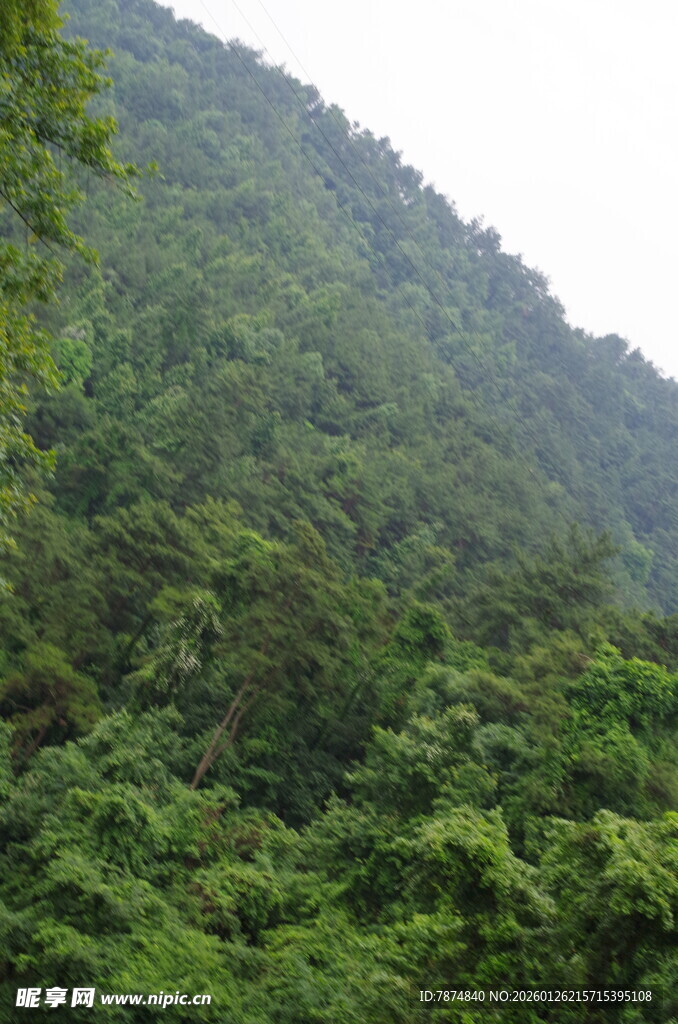 翠绿山峦 繁茂植被景观