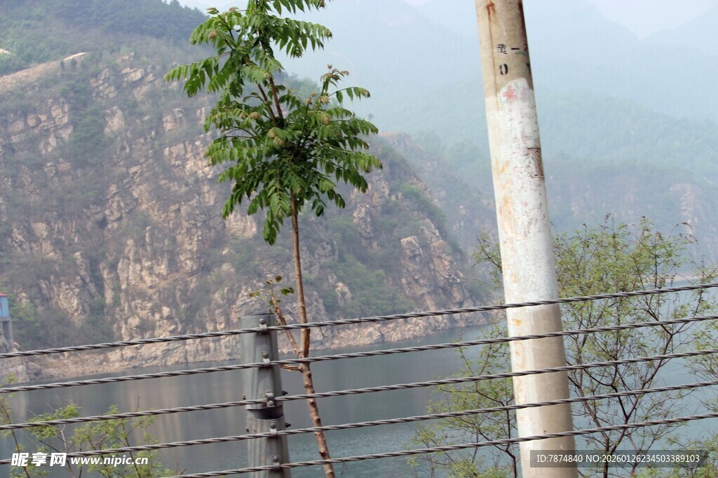 石林峡山间小树与电线杆景象