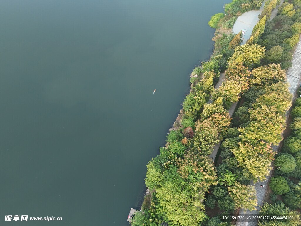 俯瞰湖畔葱郁植被景观