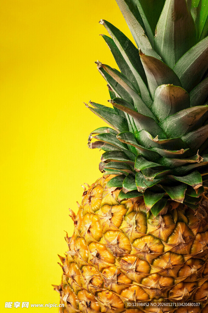 黄色背景上的新鲜菠萝