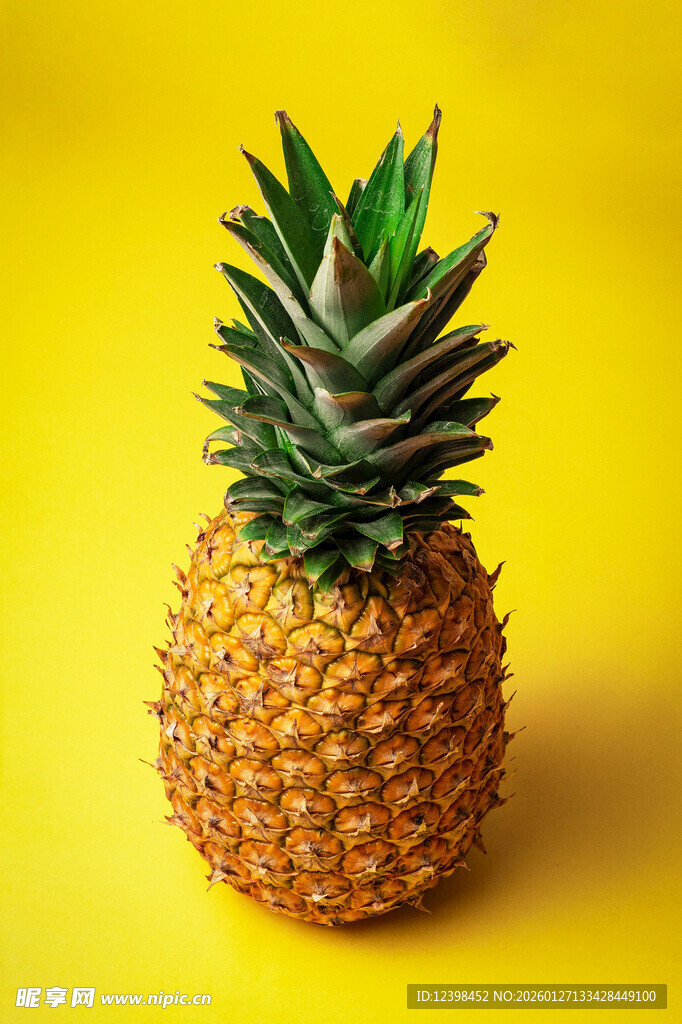 黄色背景上的新鲜菠萝
