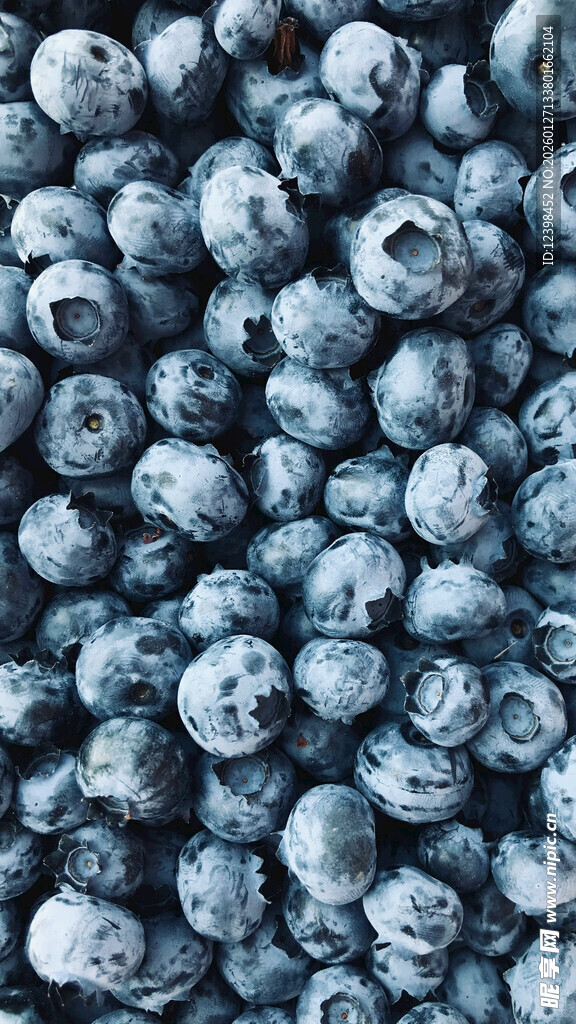 饱满蓝莓