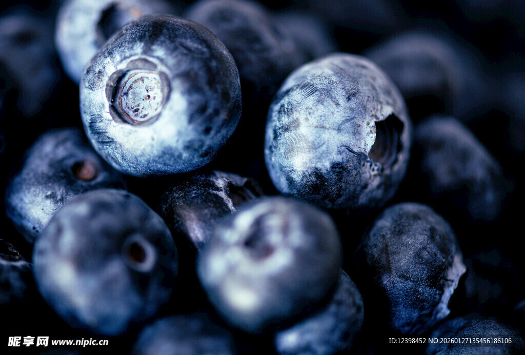 饱满蓝莓特写