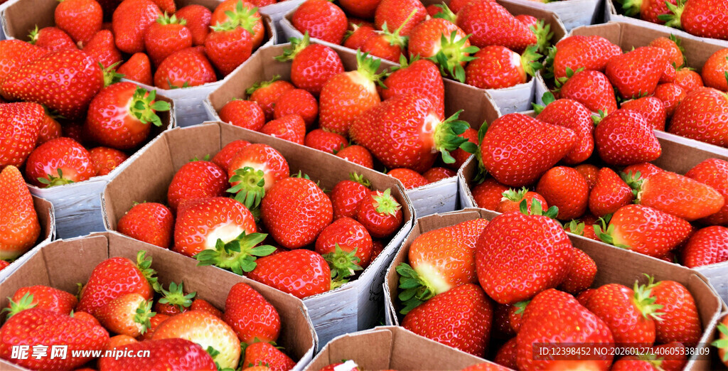 新鲜盒装草莓整齐摆放