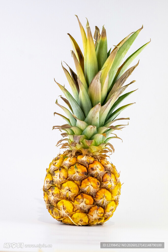 金黄饱满的新鲜菠萝
