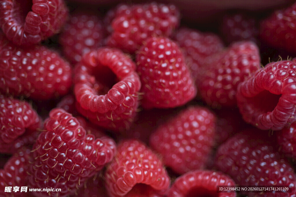新鲜饱满的树莓果实