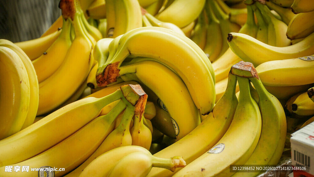 新鲜饱满的成串黄香蕉