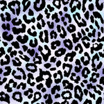 豹纹图案背景纹理