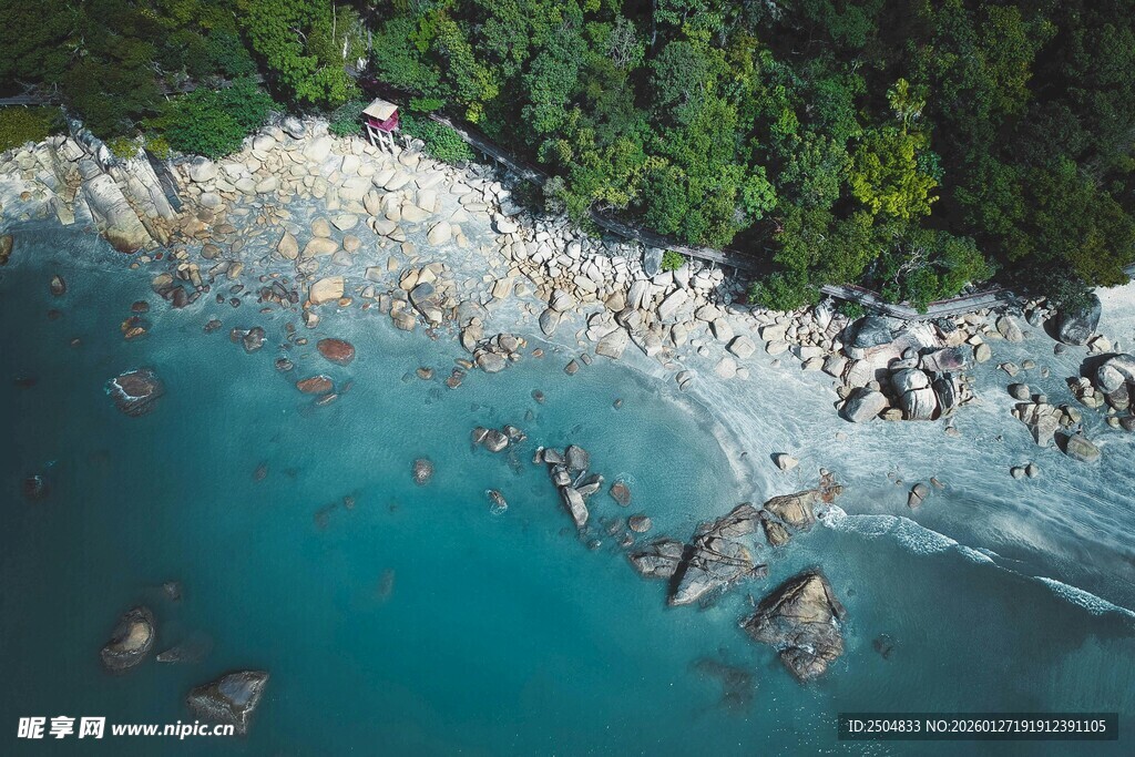 俯瞰碧蓝海岸与繁茂植被