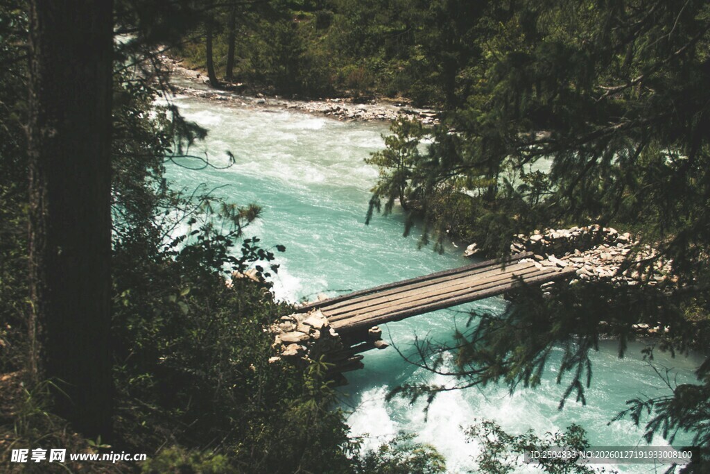 森林中的清澈河流与木桥