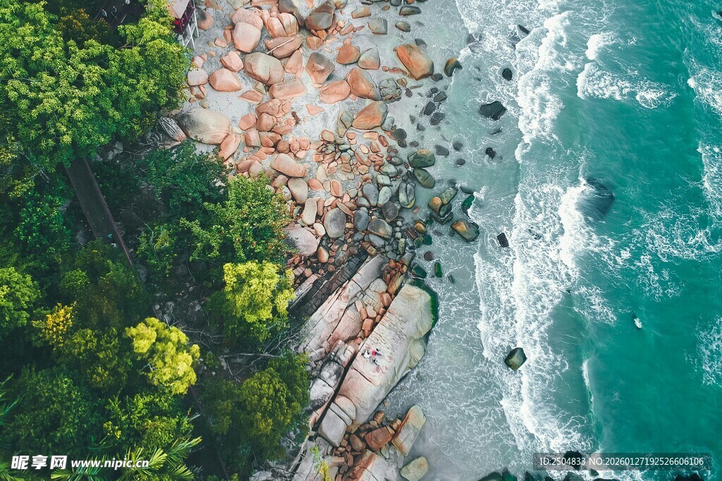 俯瞰海岸边的绿植与海浪