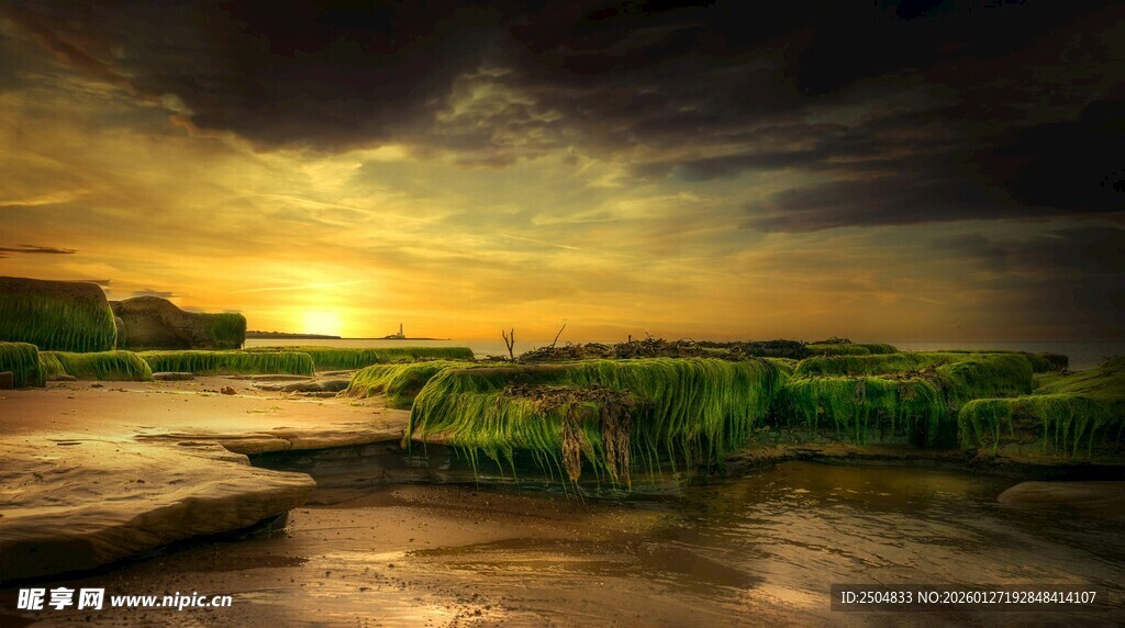 黄昏下的河畔美丽风光