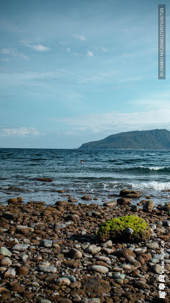 海边碎石滩上的一抹绿意