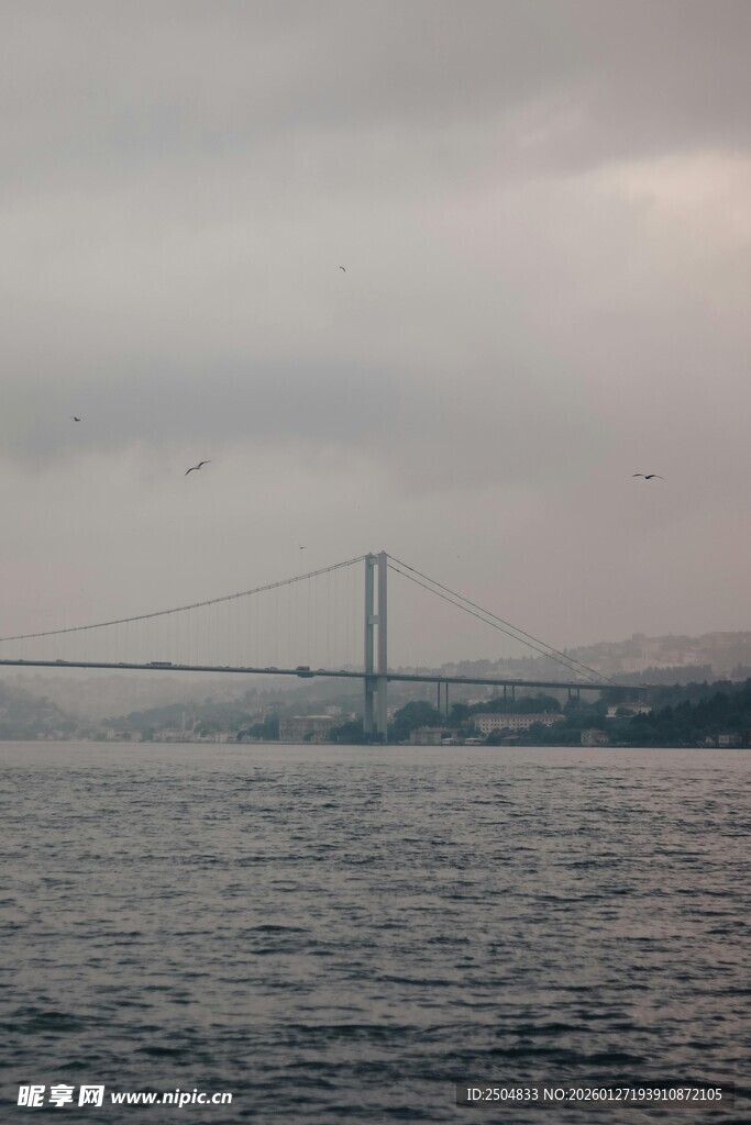 海上大桥横跨天际