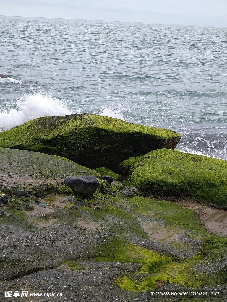 海边覆绿苔的礁石景观