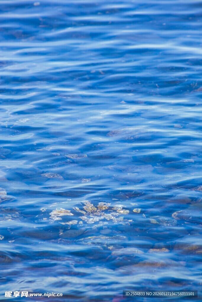 蓝色波光粼粼的海面