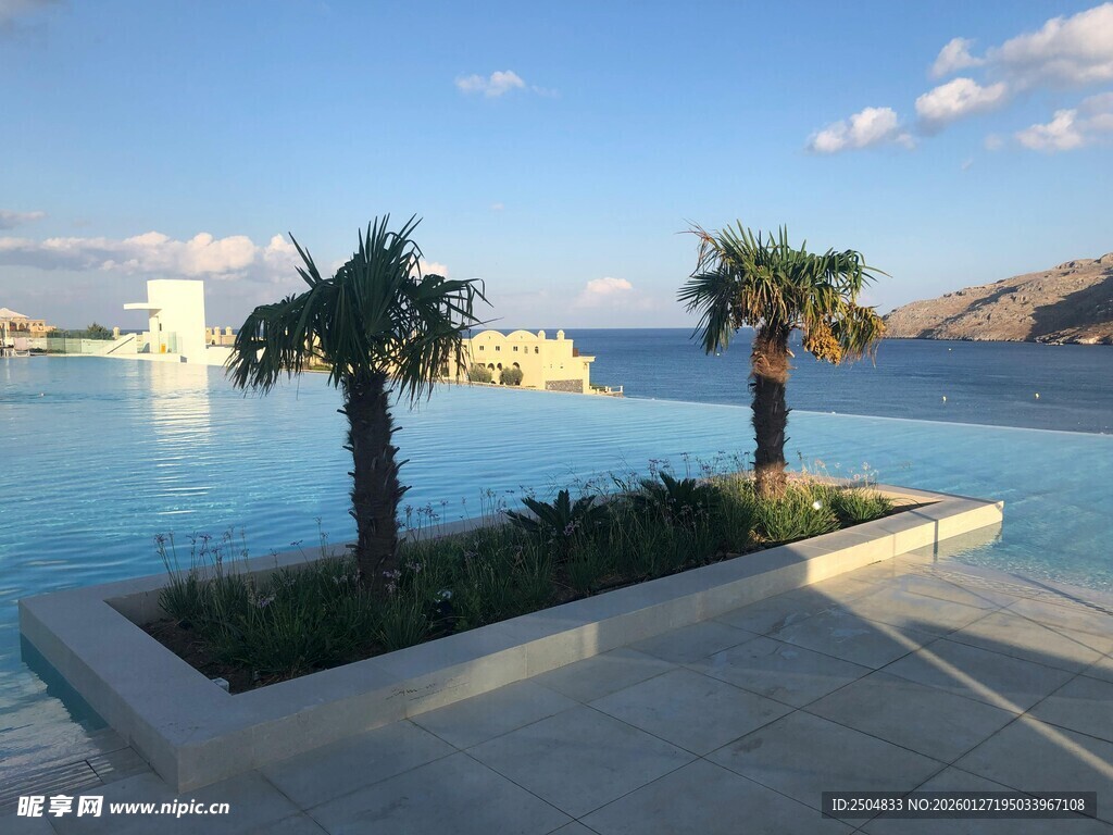 海滨泳池旁的棕榈树景观