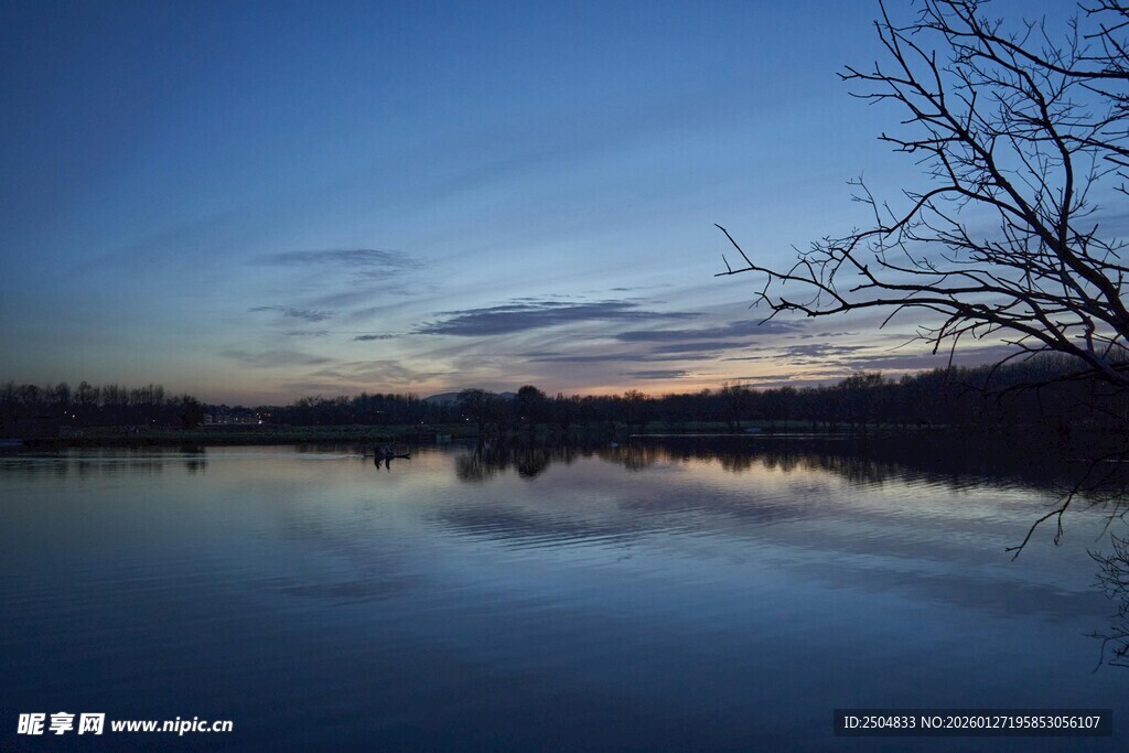 黄昏湖景旁的萧瑟枯树