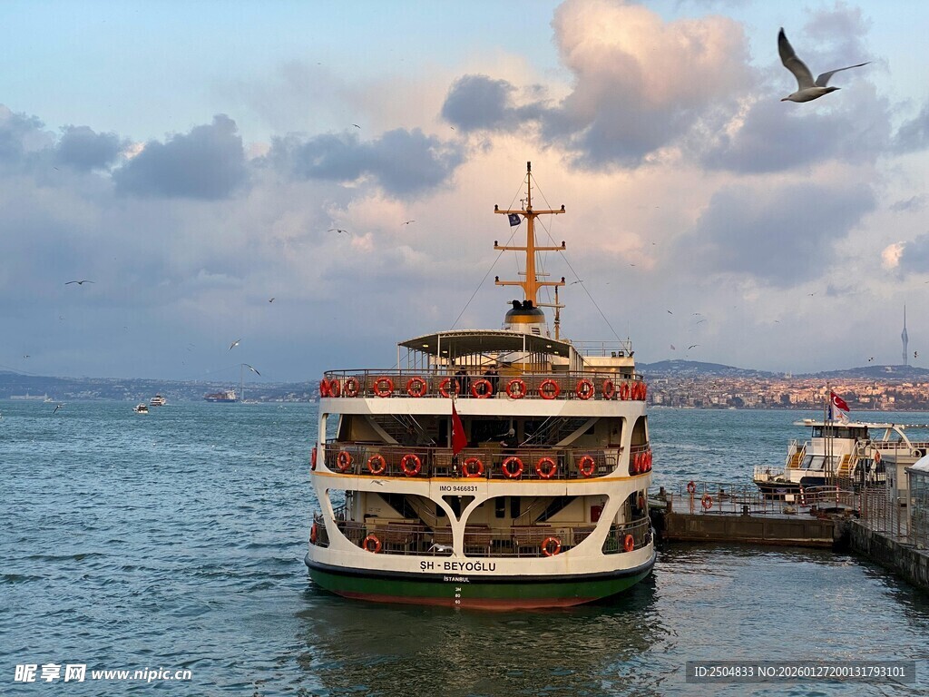 海港 船 飞鸟伴夕阳美景