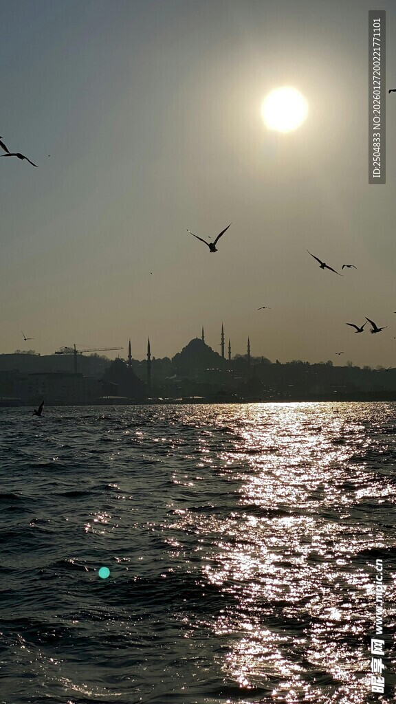 夕阳下海面飞鸟美景